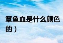 章鱼血是什么颜色（章鱼血的颜色是什么颜色的）
