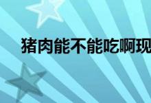 猪肉能不能吃啊现在（猪肉能不能吃啊）