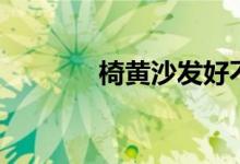 椅黄沙发好不好（价格贵吗）