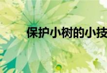 保护小树的小技巧（怎样保护小树）