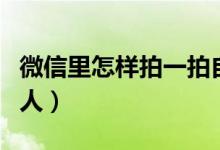 微信里怎样拍一拍自己（微信里怎样拍一拍别人）
