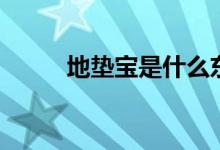 地垫宝是什么东西（有什么特点）