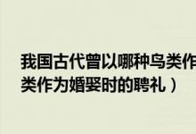 我国古代曾以哪种鸟类作为婚娶的聘礼?（古代曾以哪种鸟类作为婚娶时的聘礼）