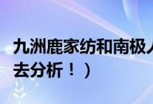 九洲鹿家纺和南极人哪个好（可以从这几方面去分析！）