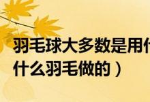 羽毛球大多数是用什么做成的（羽毛球大多是什么羽毛做的）