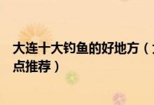 大连十大钓鱼的好地方（大连哪里可以钓鱼滨城海钓最佳地点推荐）