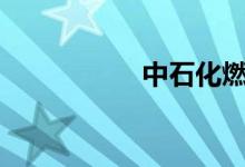  中石化燃油宝有用吗? 
