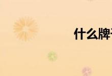  什么牌子的古筝好 