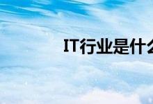 IT行业是什么（IT行业分类）