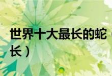 世界十大最长的蛇（蛇类身长排行榜什么蛇最长）