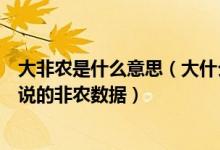大非农是什么意思（大什么叫大非农大非农就是我们平常所说的非农数据）