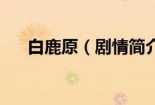 白鹿原（剧情简介 白鹿原剧情是什么）