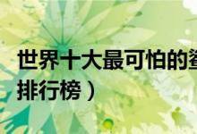 世界十大最可怕的鲨鱼（世界上最凶猛的鲨鱼排行榜）