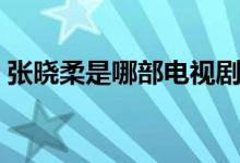 张晓柔是哪部电视剧（该剧讲述了什么故事）