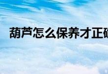 葫芦怎么保养才正确（葫芦怎么保存不烂）