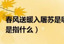 春风送暖入屠苏是哪一首诗（春风送暖入屠苏是指什么）