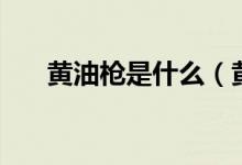 黄油枪是什么（黄油枪的种类有哪些）