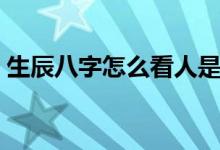 生辰八字怎么看人是童子（生辰八字怎么查）