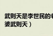 武则天是李世民的老婆吗（唐太宗李世民的老婆武则天）