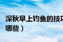 深秋早上钓鱼的技巧（深秋早上钓鱼的技巧有哪些）