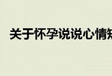 关于怀孕说说心情短语（怀孕的说说范例）
