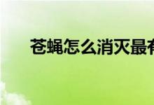 苍蝇怎么消灭最有效（怎么消灭苍蝇）