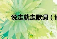 说走就走歌词（说走就走完整版歌词）