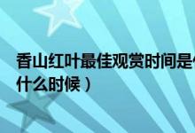 香山红叶最佳观赏时间是什么时间（香山红叶最佳观赏时间什么时候）
