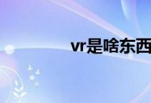 vr是啥东西（vr如何解释）