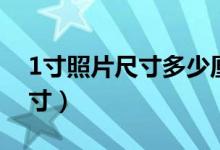 1寸照片尺寸多少厘米（1寸照片尺寸多大尺寸）