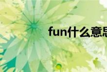 fun什么意思（fun的含义）