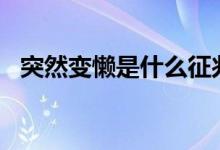 突然变懒是什么征兆（tr布料是什么材质）