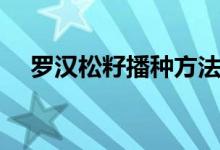 罗汉松籽播种方法（怎么种植罗汉松籽）