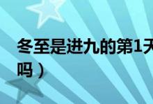 冬至是进九的第1天吗（冬至是进九的第一天吗）