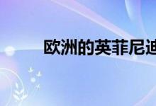 欧洲的英菲尼迪生产取得重大进展 