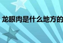 龙眼肉是什么地方的肉（龙眼肉是什么东西）