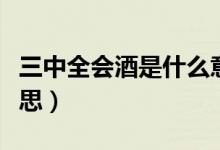 三中全会酒是什么意思（三中全会酒是什么意思）
