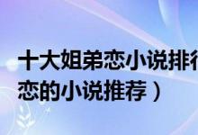 十大姐弟恋小说排行榜（姐弟恋小说大全姐弟恋的小说推荐）