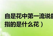 自是花中第一流说的什么花（自是花中第一流指的是什么花）