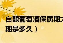 自酿葡萄酒保质期大概多久（自酿葡萄酒保质期是多久）