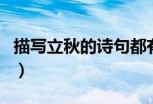 描写立秋的诗句都有哪些呢（关于立秋的诗句）