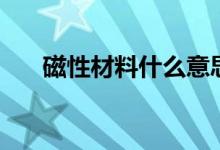 磁性材料什么意思（磁性材料的意思）
