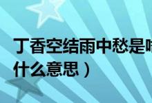 丁香空结雨中愁是啥意思（丁香空结雨中愁是什么意思）