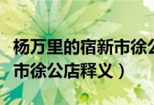 杨万里的宿新市徐公店的意思（杨万里的宿新市徐公店释义）