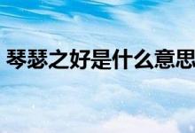 琴瑟之好是什么意思（琴瑟之好是什么意思）