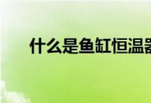 什么是鱼缸恒温器（鱼缸恒温器原理）