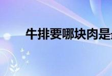  牛排要哪块肉是最好的怎么挑选牛排 