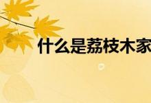 什么是荔枝木家具（有什么优缺点）