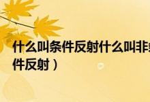 什么叫条件反射什么叫非条件反射（什么是条件反射和非条件反射）