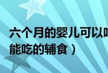 六个月的婴儿可以吃什么辅食（六个月的婴儿能吃的辅食）